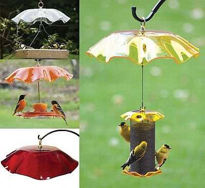 Oriole Feeders Oriole Bird Feeders For Feeding And Attracting
