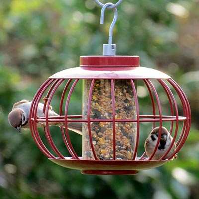 Caged Bird Feeders That Discourage Squirrels Quality Bird Feeders
