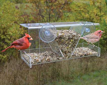 Window Bird Feeders Window Mount Bird Feeders In House Bird