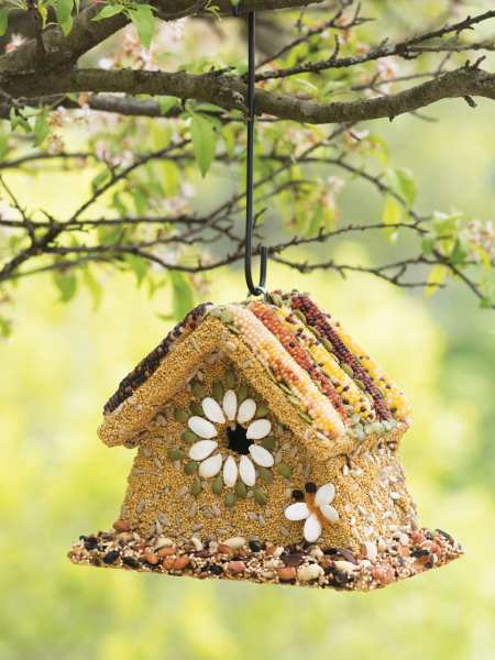 All Season Rustic Wren Edible Birdhouse