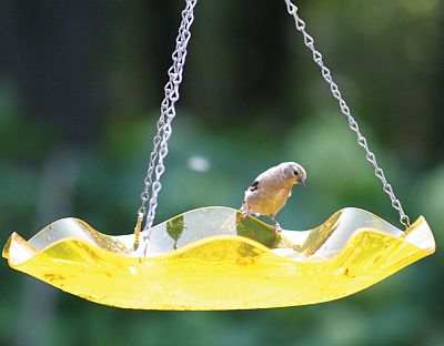Yellow Acrylic Hanging Birdbath