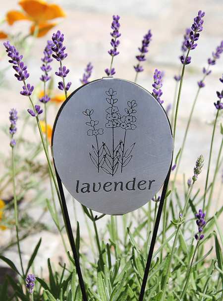 Lavender Herb Marker