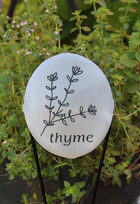 Thyme Herb Marker