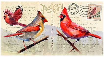 Northern Cardinal Vintage Series Postcard 16oz Steel Travel Mug Wrap-Around View