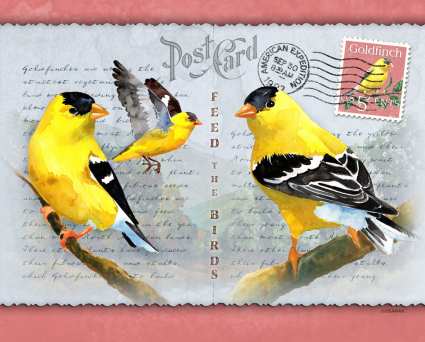 Goldfinch Postcard Tall Tumbler 24 oz.