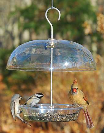 Aspects Vista Dome Bird Feeder