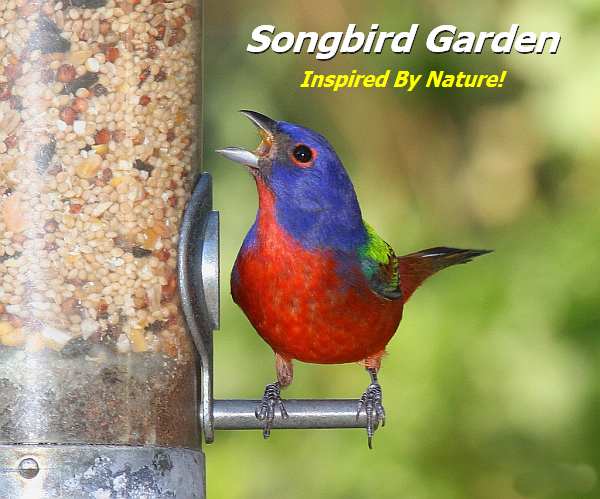 Songbird Garden - Your Backyard Nature & Gift Specialist!