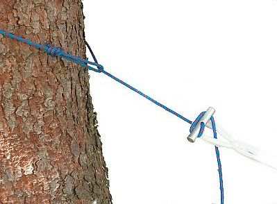 MicroRope on tree