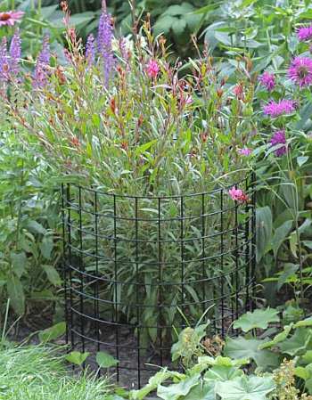 Bunny Barricade protects tender flowers and vegetables