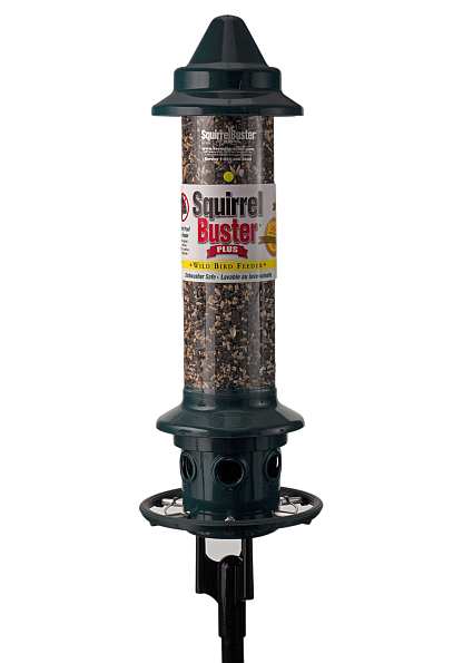 Squirrel Buster Plus Pole Mount Kit