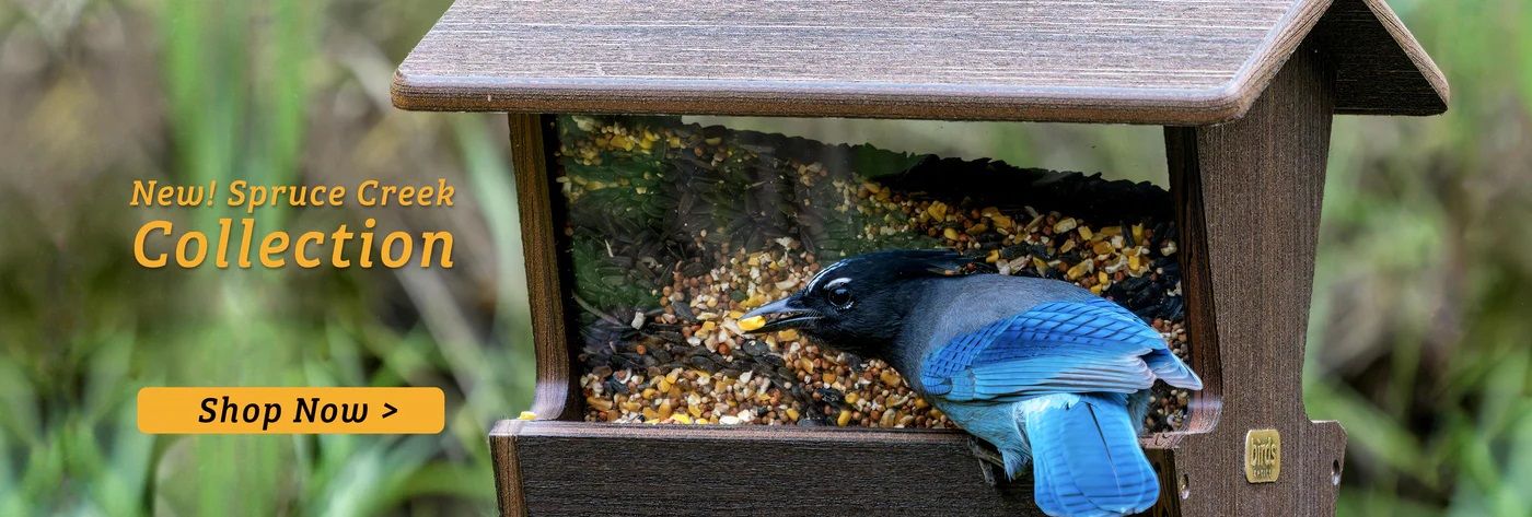 Spruce Creek Collection Bird Feeders and Birdhouses