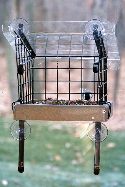 Cage for Small Window Platform Feeder with Cover