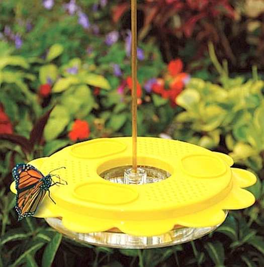 Flutterbye Butterfly Feeder 12 oz.