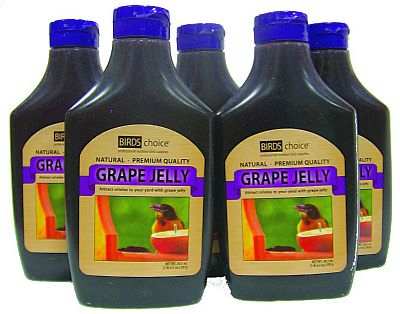 Birds Choice Grape Jelly 20.5 Ounce Squeeze Bottle