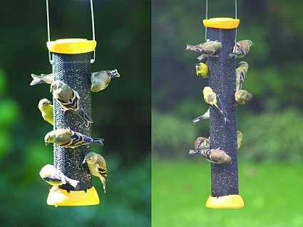 Magnet Mesh Clever Clean Nyjer Bird Feeders