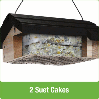 Nature's Way Bamboo Upside Down Suet Feeder