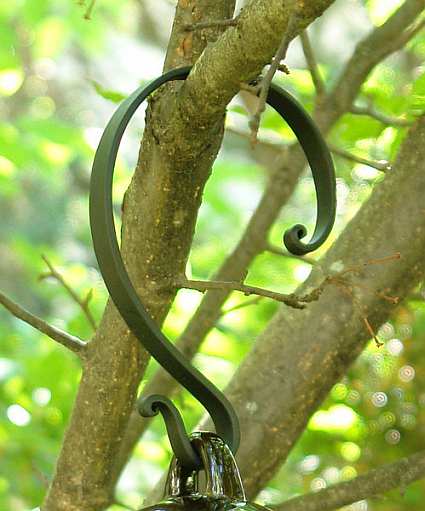 Forged Steel Hook- Hang From Branch