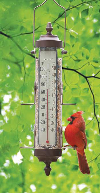 Grand View Bird Feeder Thermometer Bronze Patina Finish