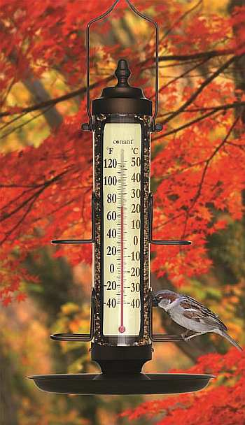 Grande View Bird FeederTthermometer with Tray