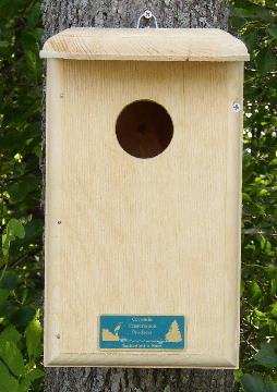 Saw-Whet/Screech Owl House