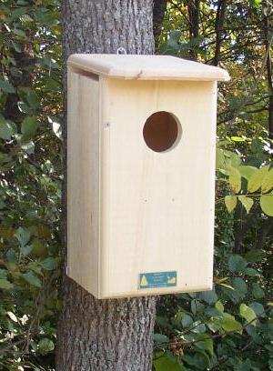 Kestrel House