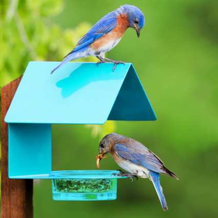 Fence/Post Metal & Glass House Bird Feeder Aqua