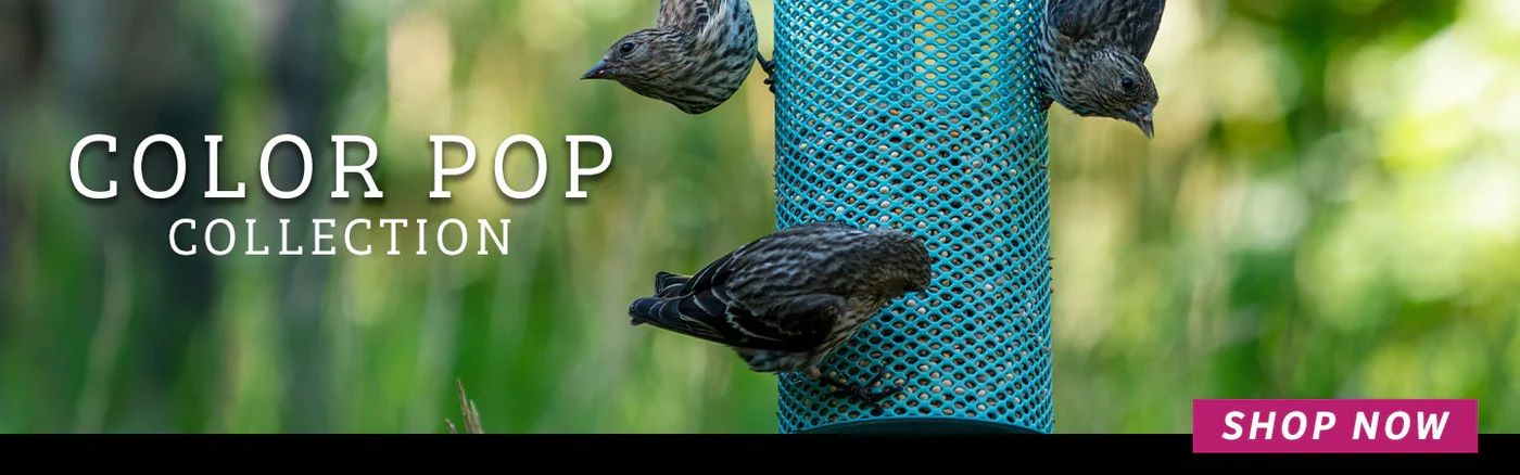 Color Pop Collection Bird Feeders, Birdhouses and Accessories
