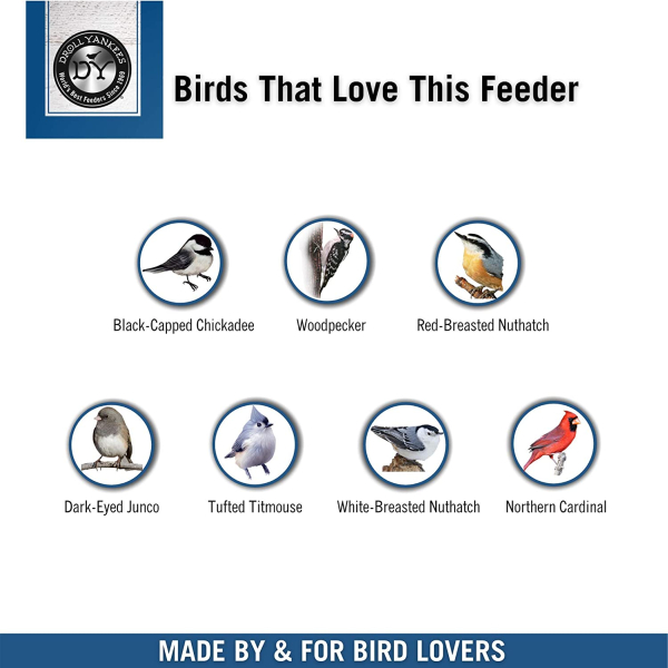 Birds this feeder attracts