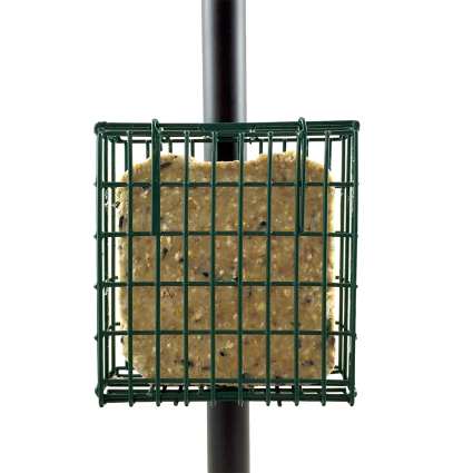 Droll Yankees Suet Feeder Pole Clamp Single