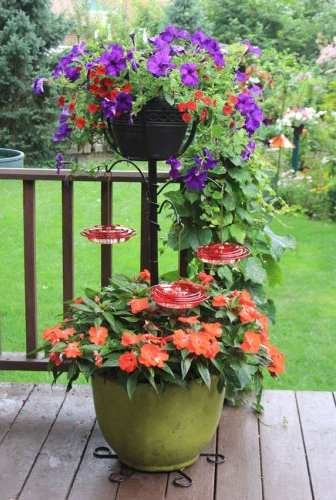 Erva Container Garden Hummingbird Pole Set