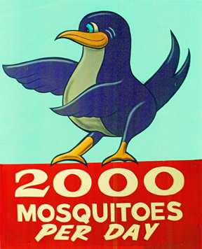 Purple Martins eat an average 2000 mosquitoes per day!