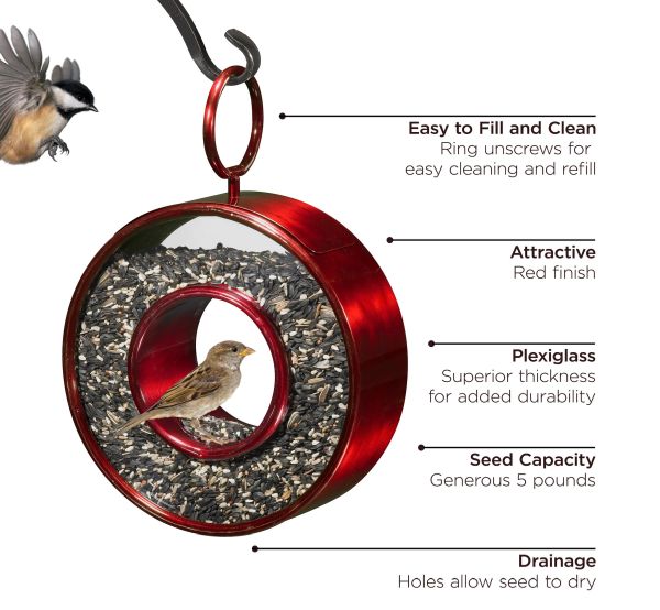 Fly-Through Circle Bird Feeder Ruby Red