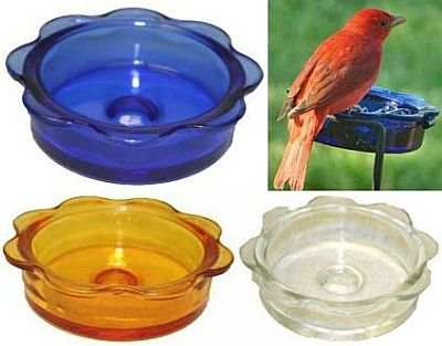 Scalloped Glass Dish Feeders - Blue, Orange and Clear
