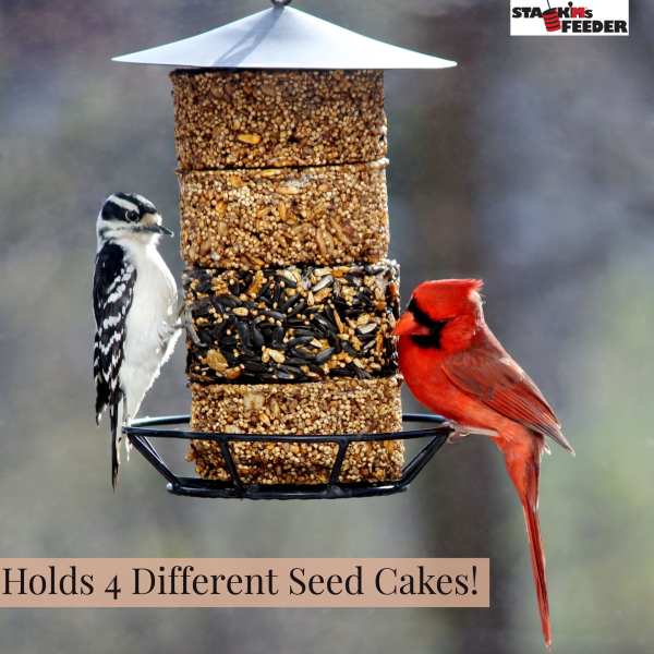 Stack'M-Seed-Cake-Feeder