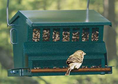 Hanging Option for Original Absolute Squirrel Proof Bird Feeder