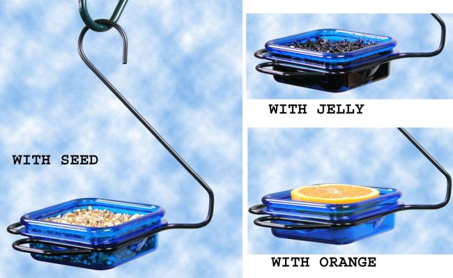 Snacks-N-Treats Hanging Jelly, Fruit, Seed, and Mealworm Feeder.jpg