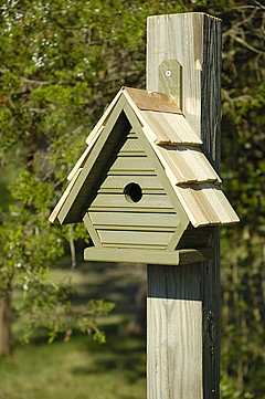 Heartwood Chick Shake Shingled Bird House Pinion Green