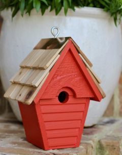 Wren In The Wind Bird House Neon Red