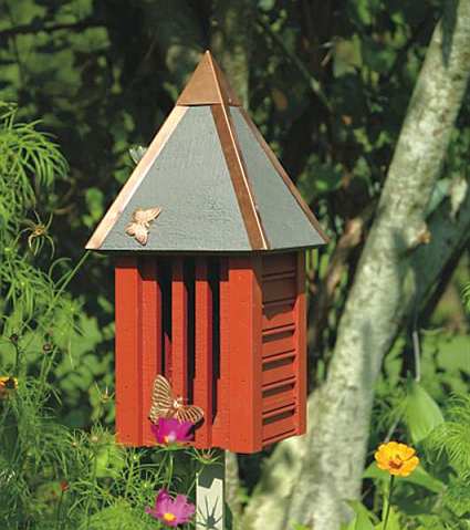 Flutterbye Butterfly House Redwood