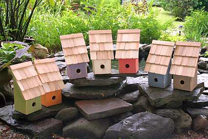 Fruit Coops Birdhouses are available in 7 delicious colors!
