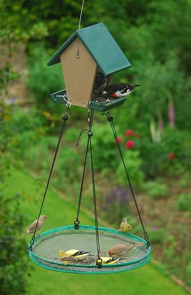 The Seed Hoop - Seed Catcher and Platform Bird Feeder – Wild Bird Store  Online