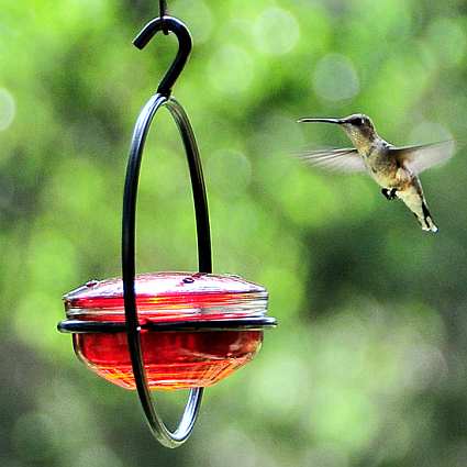 Sphere Hummingbird Feeder