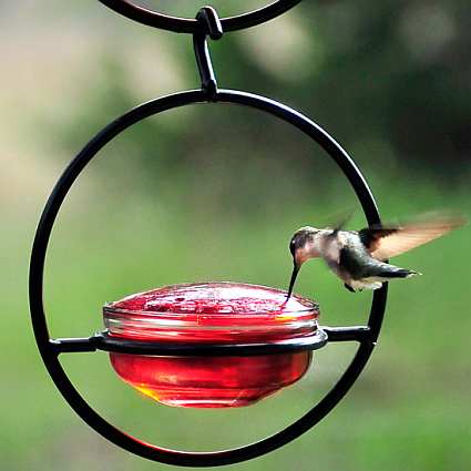 Sphere Hummingbird Feeder