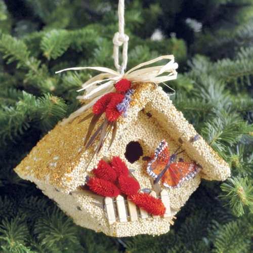 All Season Wren Casita Edible Birdhouse