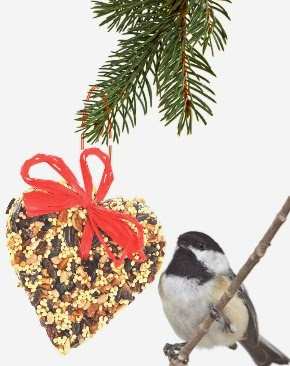 Little Heart 4 oz Bird Seed Ornament