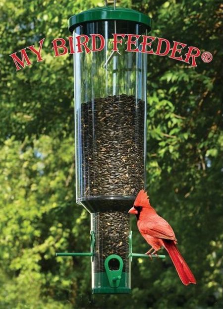 My Bird Feeder