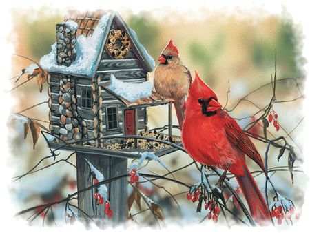 Rustic Cardinals by Artist, Janene Grende