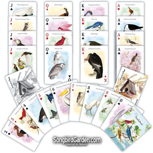 Audubon Playing Cards