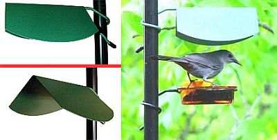 Rain Caonpy to protect glass dish feeders from rain, snow and sun