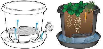Metro-Grower Self-Watering Container